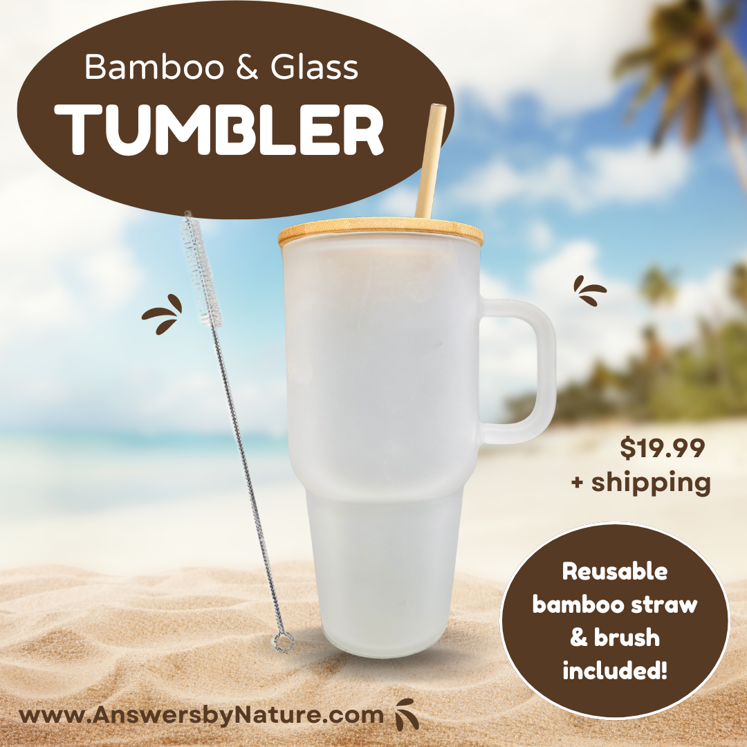 Bamboo Straws X-Long Reusable
