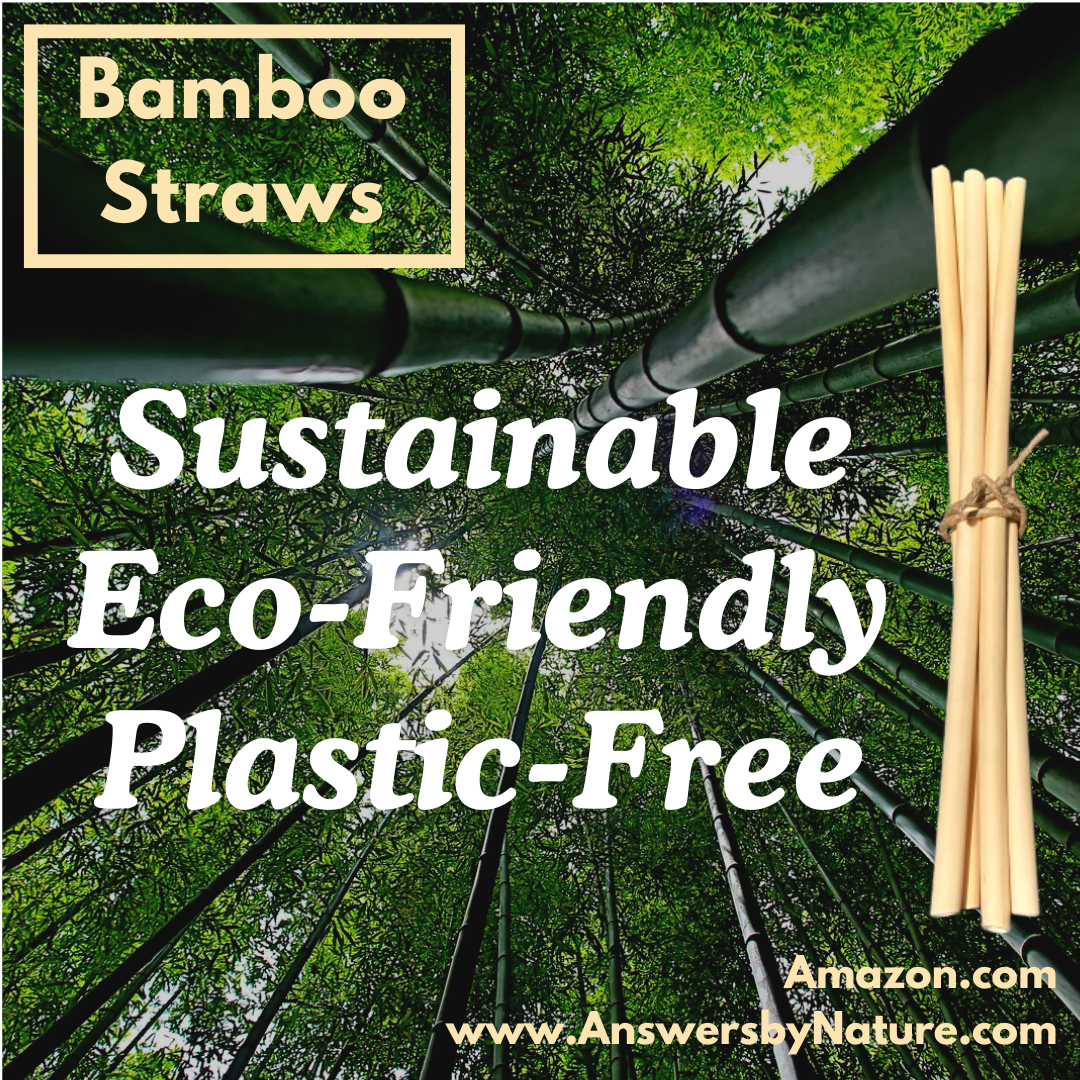 Bamboo Straws X-Long Reusable