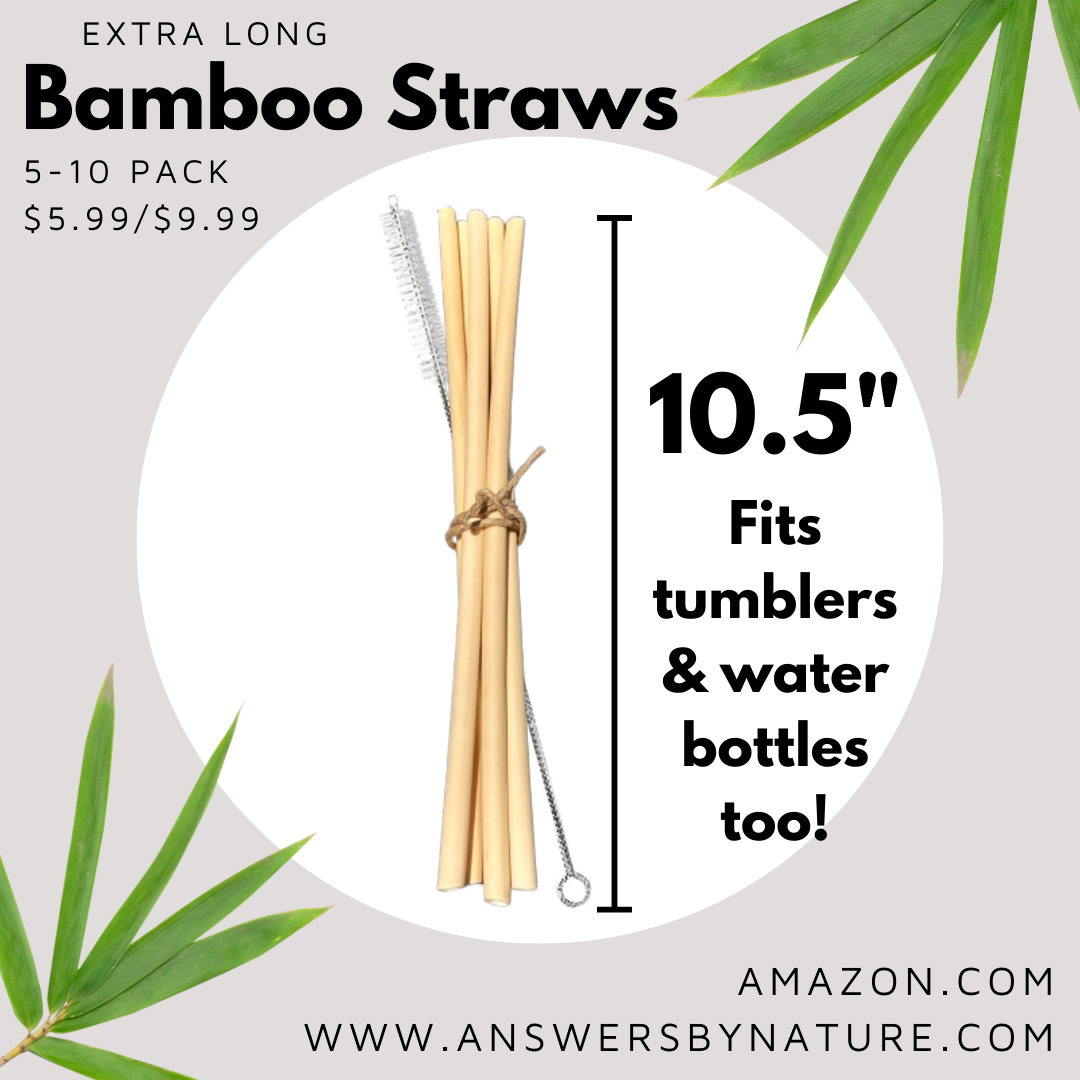 Bamboo Straws X-Long Reusable