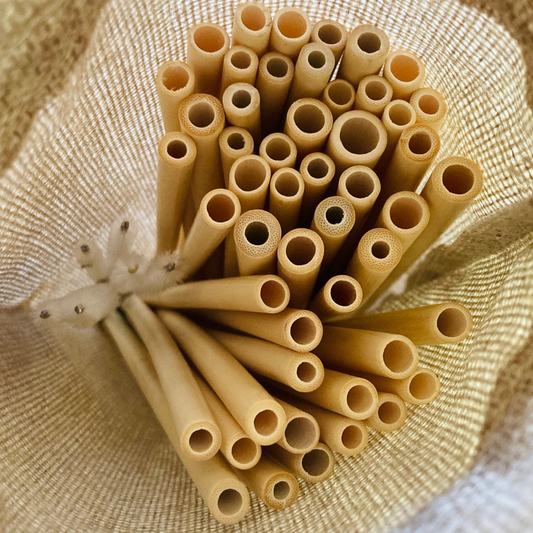 50-Pack Reusable Bamboo Straws