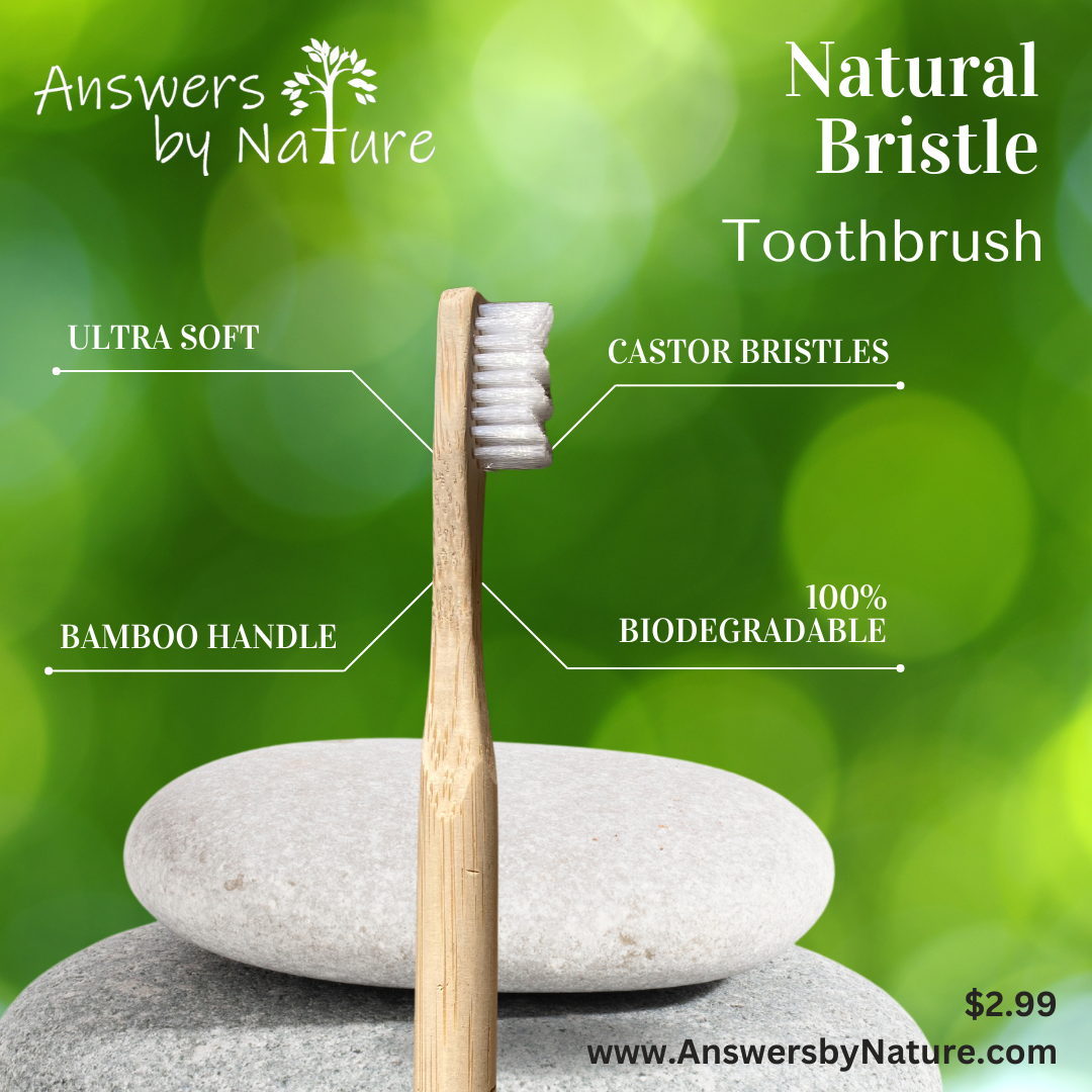 Natural Bristle Toothbrush