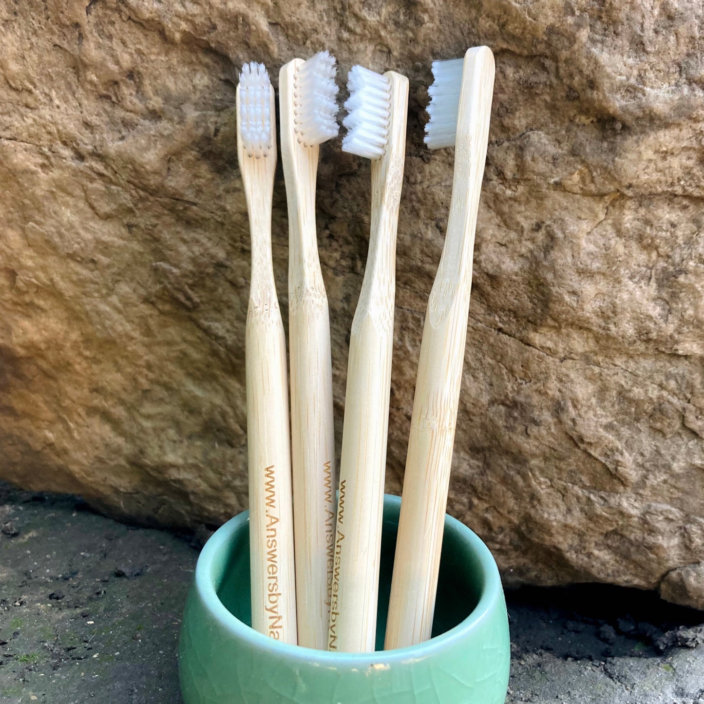 Natural Bristle Toothbrush